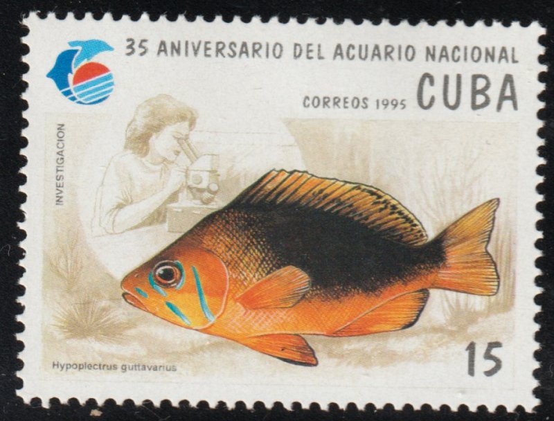 1995 Cuba Stamps Sc 3631 Fish Hypoplectrus guttavarius MNH