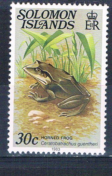 Solomon Islands 407 MNH Horned frog 1979 (S0993)