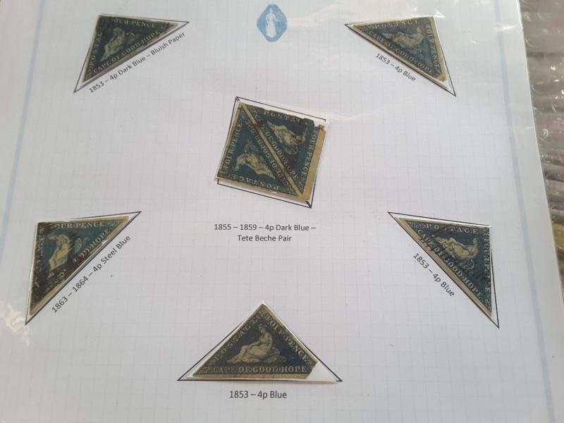 Beautiful Cape of Good Hope Stamps from a Private Collection.