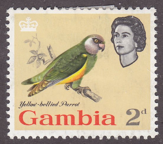 Gambia 178 Yellow-Bellied Parrot 1963