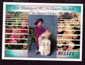 Belize # 775 Mint NH S/S Commonwealth Summit!