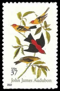 PCBstamps   US #3650 37c Scarlet & Louisiana Tanagers, MNH, (7)