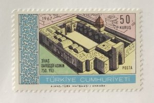 Turkey 1967 Scott 1741 MNH - 50k, 75th Anniversary of the Sivas Hospital