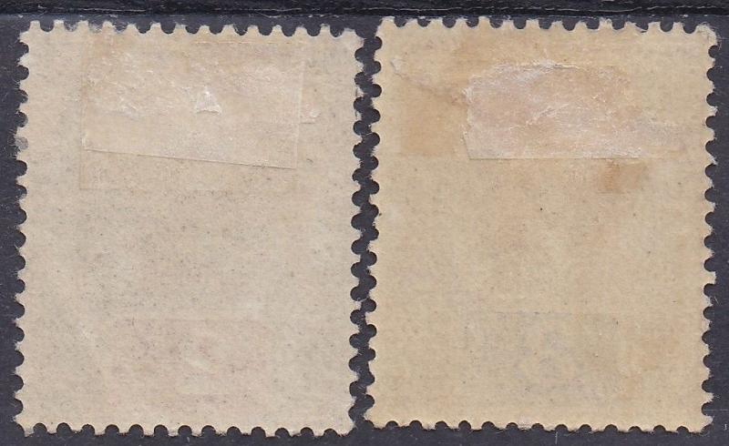 SARAWAK 1888 RAJA BROOKE 2C AND 3C  