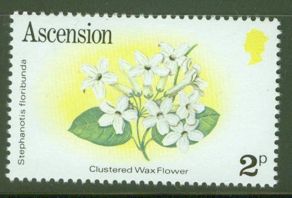 ASCENSION  Scott 275 MNH** 2p Flower stamp 1981