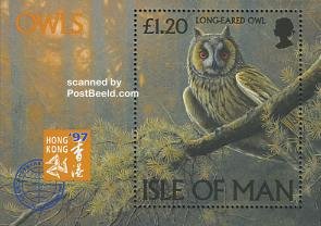 Isle of Man 1997, Owls s/s, MNH