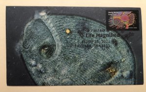 2023 Life Magnified FDC HAND CRAFTED FOLDED CACHET Microscope Diving Beetle Foot