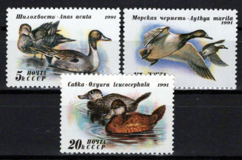 Russia & Soviet Union 6009-6011 MNH Birds Ducks ZAYIX 0624S0254