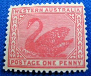 WESTERN AUSTRALIA  1902  -  SCOTT # 76  -   MH   (Hw1)