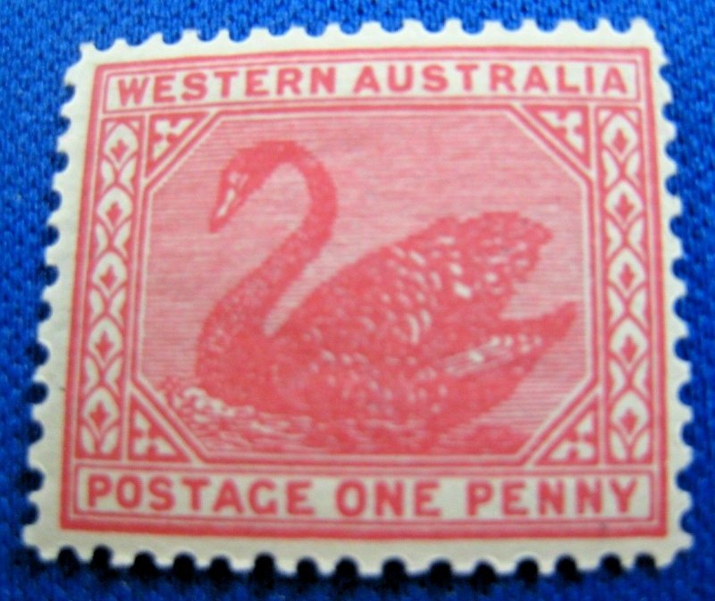 WESTERN AUSTRALIA  1902  -  SCOTT # 76  -   MH   (Hw1)