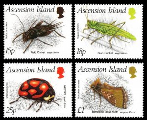 ASCENSION - 1988 - INSECTS - CRICKETS - LADYBUG - MOTH - MINT - MNH SET! 