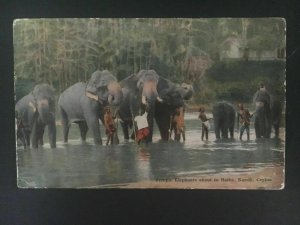 1942 Ceylon Naval PO RPPC Postcard Censored Cover To London England Elephants