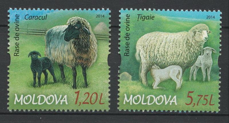 Moldova 2014 Farm Animals Breeds of Sheep, 2 MNH stamps