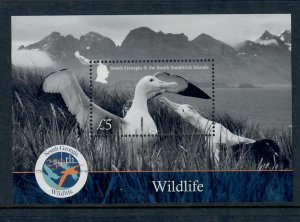 South Georgia 2025 Snowy Albatross on Wildlife Miniature Sheet MNH