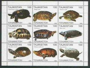 Tajikistan 1999 TURTLES Sheet Perforated Mint (NH)