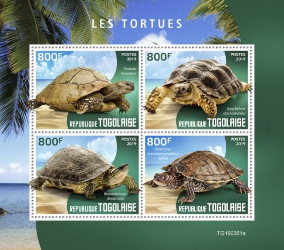 TOGO - 2019 - Turtles - Perf 4v Sheet - MNH