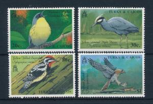 [52958] Turks and Caicos Islands 1990 Birds Vögel Oiseaux Ucelli from set MNH