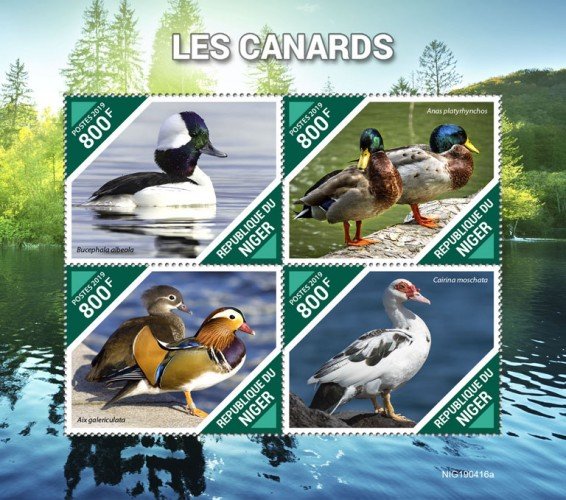 NIGER - 2019 - Ducks - Perf 4v Sheet - MNH