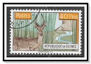 Guinea #217 Waterbuck CTOH