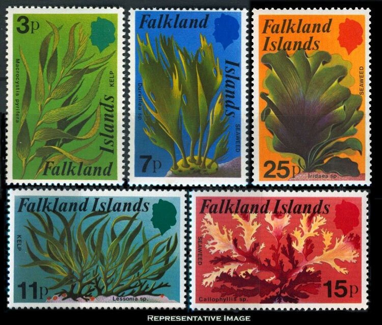 Falkland Islands Scott 282-286 Mint never hinged.