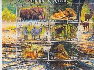 Malawi 2011 M/S Wildlife of Africa Elephant Zebra Leo Animals Mammals Stamps MNH