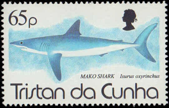 Tristan Da Cunha #551-553, Complete Set(3), 1994, Marine Life, Never Hinged