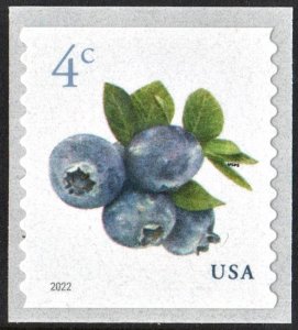 SC#5653 4¢ Blueberries Coil Single (2022) SA