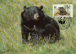 Pakistan 1989 Maxicard Sc #719d 4r Himalayan black bear WWF