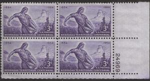 # 1060 MINT NEVER HINGED NEBRASKA TERRITORY