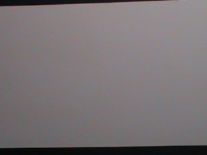 ​UNITED STATES-1991-OLD RED-UNIVERSITY-TEXAS-MEDICAL BRANCH AT GALVESTON-MNH