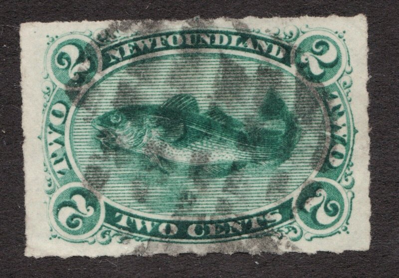 Sc38 - Newfoundland - 1879 - 2 cent - Codfish - superfleas - cv$70 