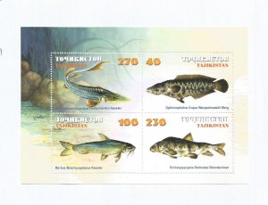 TADZHIKISTAN - 2000 - Fishes - Perf 4v Set & Souv Sheet - M L H