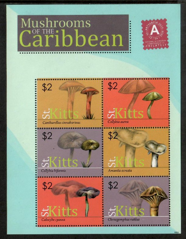 Saint Kitts 2010 - Mushrooms - Sheet of 6 Stamps - Scott #762 - MNH