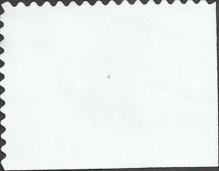 # 3976 USED LOVE BIRDS