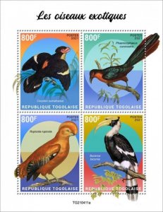 Togo - 2021 Exotic Birds, Dusky Broadbill, Hornbill - 4 Stamp Sheet - TG210411a