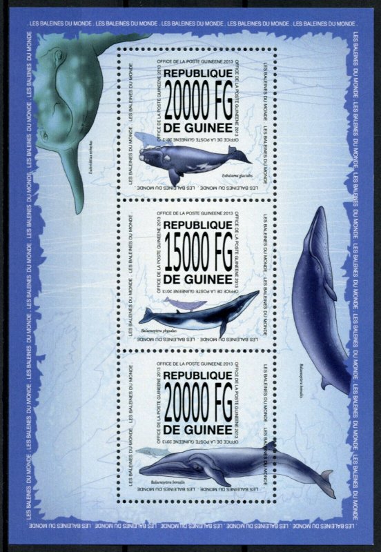 Guinea Marine Animals Stamps 2013 MNH Whales Right Fin Whale Fauna 3v M/S