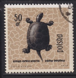 Poland 1136 European Pond Turtle 1963