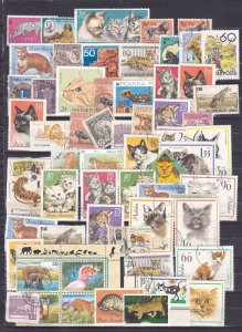 Cats World Wide Topical Collection Mint & Used 60+ Issues Very Fine