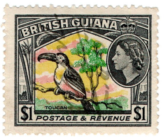 (I.B) British Guiana Revenue : Duty Stamp $1 (Toucan)