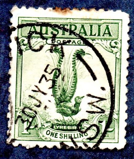 Australia Scott #141 1sh Lyrebird (1932) used