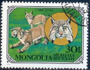 Wildcat, Lynx, Mongolia stamp SC#1090 used