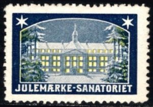 1908 Denmark Charity Poster Stamp Danish National Society Against Tuberculosis