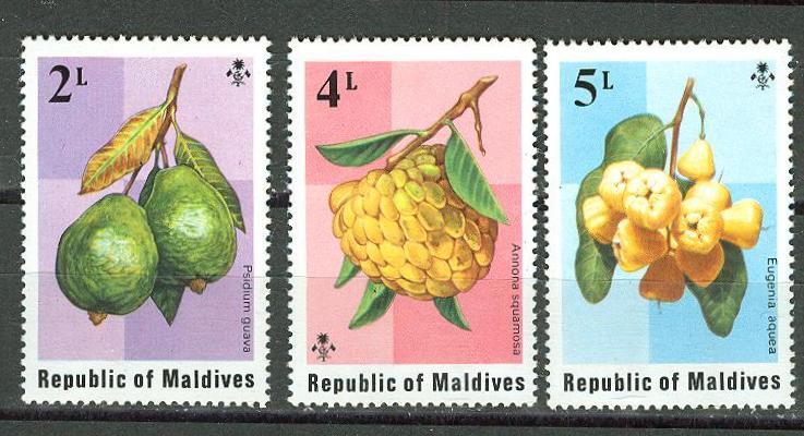 Maldives # 548-50  Fruits  (3) Mint NH