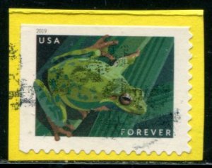 5395 US (55c) Frogs - Pacific Tree Frog SA, used on paper