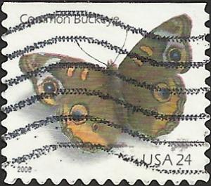 # 4001a USED COMMON BUCKEYE BUTTERFLY