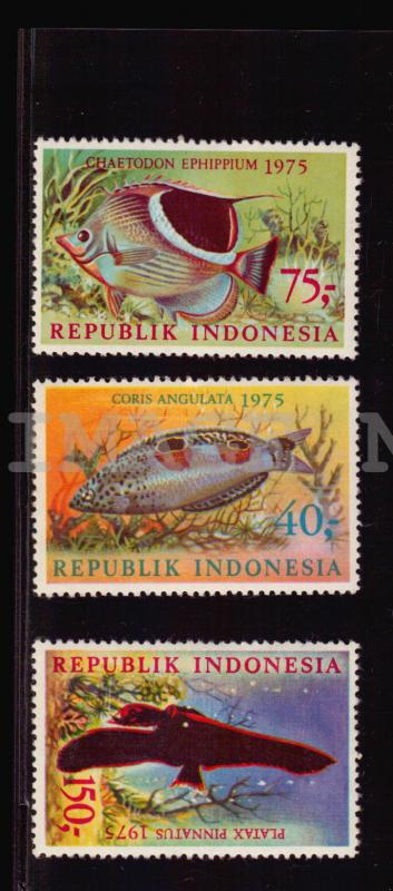 Indonesia 959-961 MNH Michel 827-829 Fish 1975 marine life fauna high cv