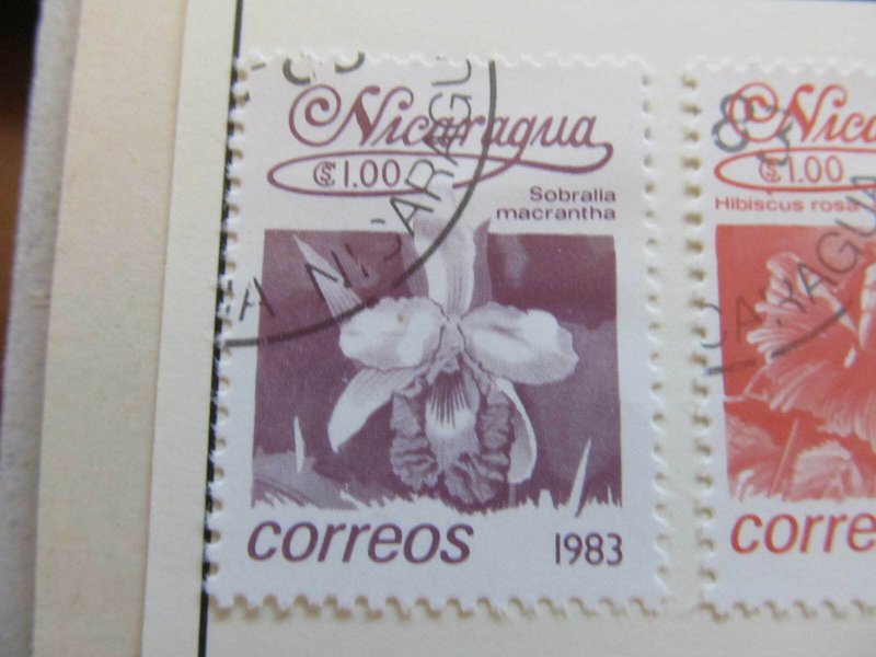 Nicaragua 1983 Flower 1cor fine used stamp A11P11F102