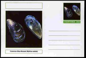Chartonia (Fantasy) Shells - Common Blue Mussel (Mytilus ...