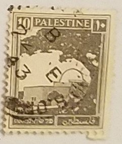 Palestine 73