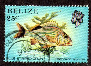 BELIZE 707 USED BIN $1.00 MARINE LIFE